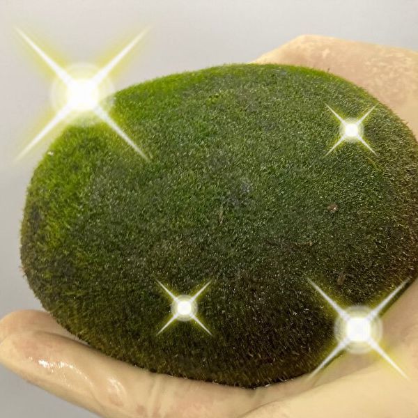 アイテム